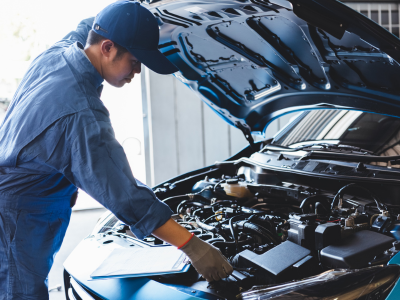 Professional vehicle inspection supporting ABS module diagnosis